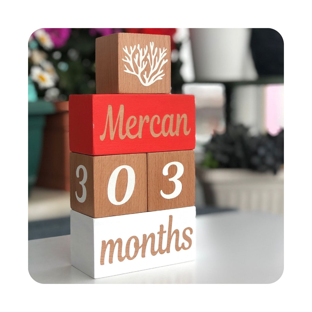 Set of 5 Baby Name Custom Sign|Baby Age Wooden Blocks|Nursery Milestone Blocks Decor|Personalized Kid Name Sign|Baby Shower New Mom Gift