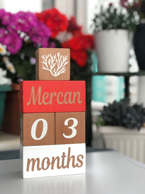 Set of 5 Baby Name Custom Sign|Baby Age Wooden Blocks|Nursery Milestone Blocks Decor|Personalized Kid Name Sign|Baby Shower New Mom Gift