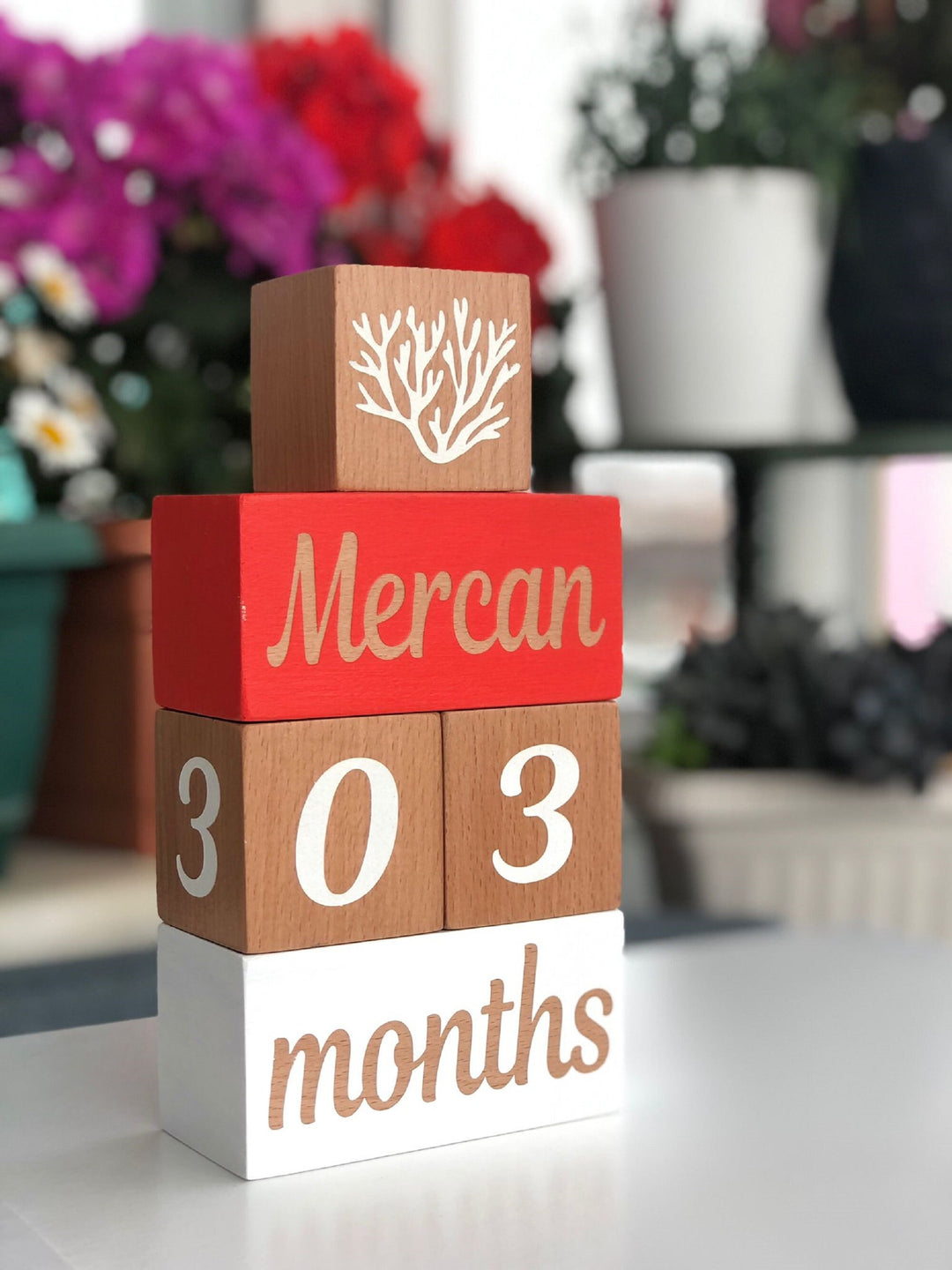 Set of 5 Baby Name Custom Sign|Baby Age Wooden Blocks|Nursery Milestone Blocks Decor|Personalized Kid Name Sign|Baby Shower New Mom Gift