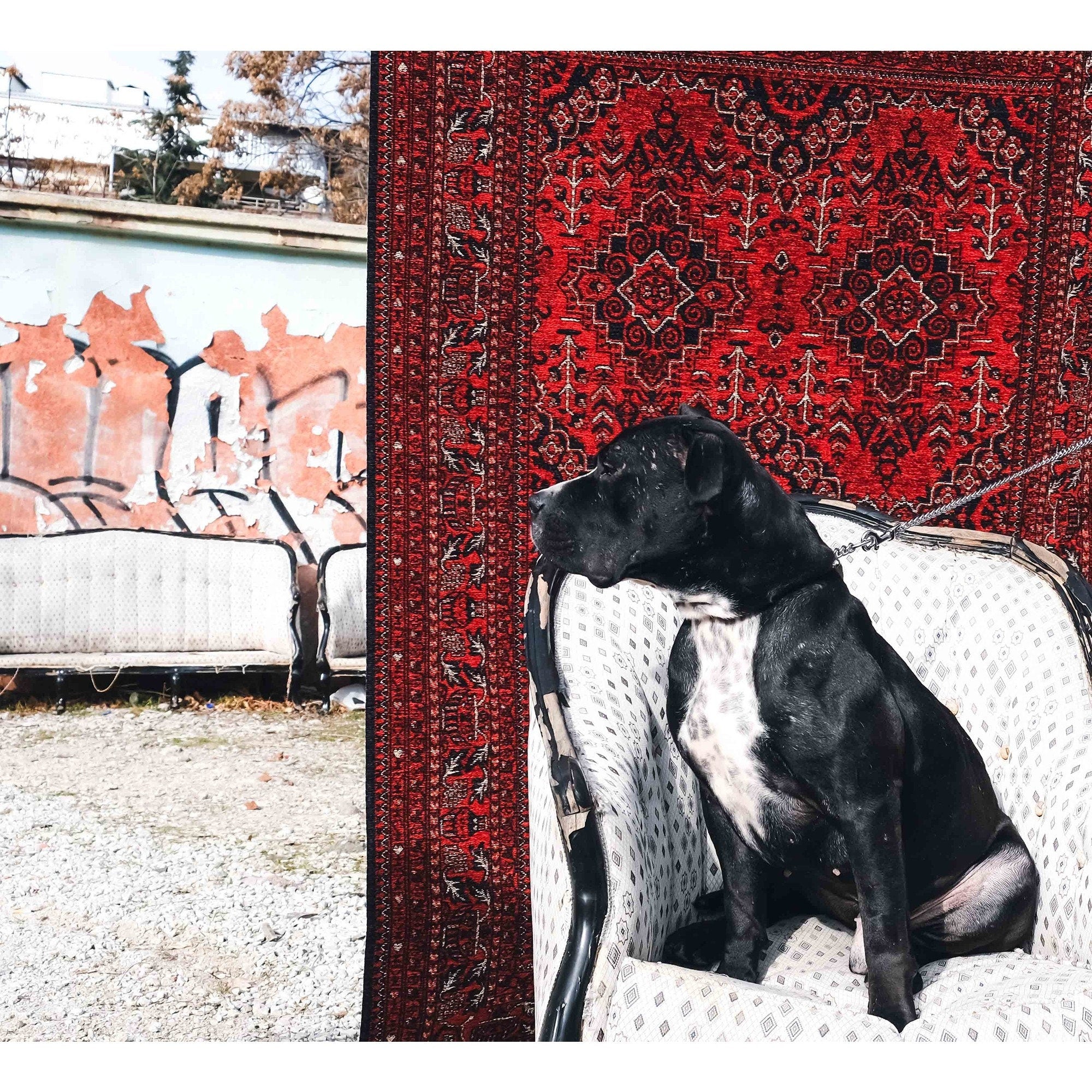 Classic Red Afghan Carpet – Akasia