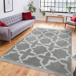 Geometric Area Rug|Boho Gray Carpet|Machine-Washable Fringed Non-Slip Rug|Farmhouse Multi-Purpose Anti-Slip Carpet|Abstract Living Room Rug