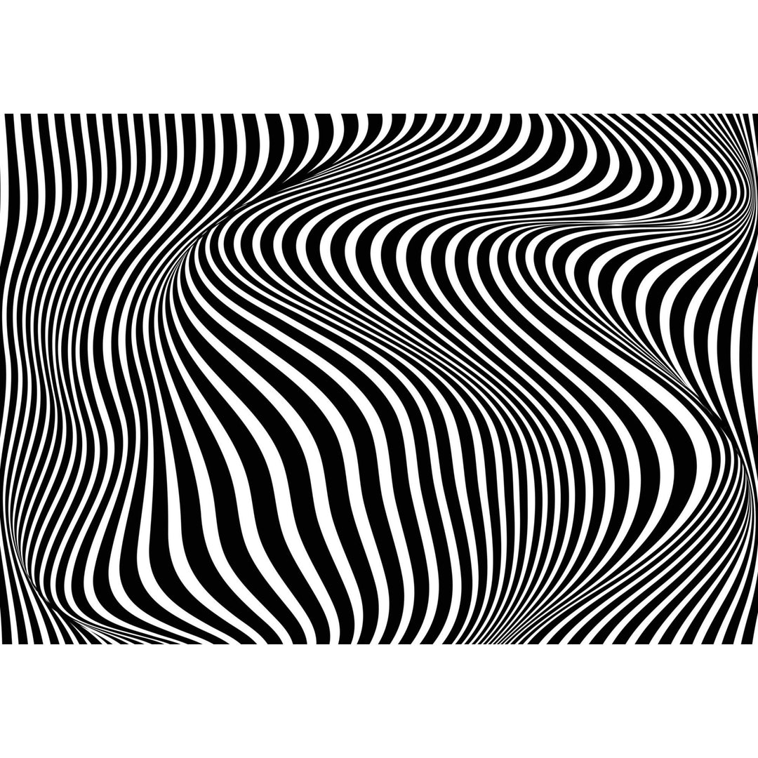 Optic Illusion Rug|Abstract Multi-Purpose Non-Slip Carpet|Black White 3D Illusion Area Rug|Illusion Carpet|Machine-Washable Rug